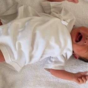 何度でも見ていたい癒しの動画♡の画像