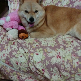 母、タリア。の画像