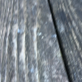 ２月の予定です  ハマシュウさんのシンギングボウルの画像