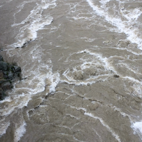 大雨続いてますね(＞人＜;)の画像