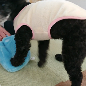 頑張ります！の画像