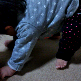 おしりふりふり♪の画像