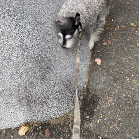 かい〜のの画像