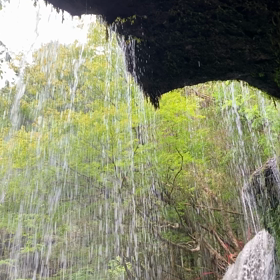 目と耳からの画像