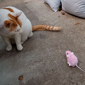 連休の過ごし方の画像