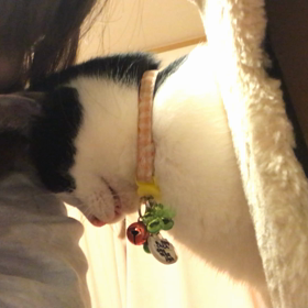 執事のラードは嫌でございますか？の画像