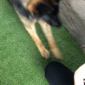 初習得！の画像