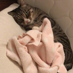 布団であたたかくの画像