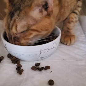 対策考え中の画像