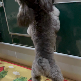りんごください！の画像