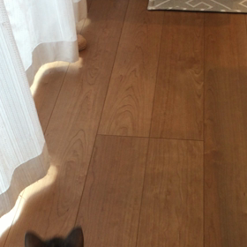 はしゃぐ＼(*´∀｀*)／♪の画像