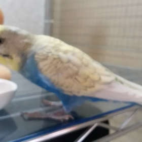 気になって・・・の画像