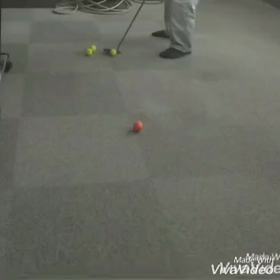 リピータブルなスイング！の画像