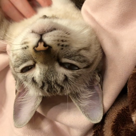 内科受診…初めての病院への画像
