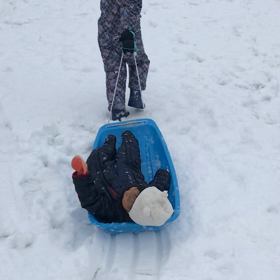 ソリで運ばれるももいちの画像