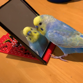 お預かりの画像