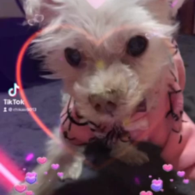 御協力お願い致します♀️の画像