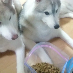 不思議が止まらないの画像