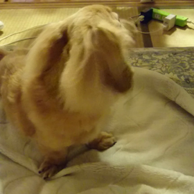 朝だ(^^)/の画像