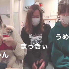 再投稿です、動画見てね♡みなさまへお知らせですの画像