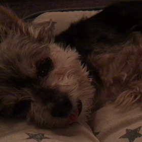 泣き出して 止まらなくなった夜の画像