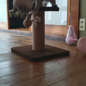 甘やかしちゃうの画像