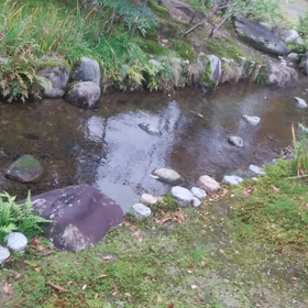 金沢マラソン不安編・・変の画像