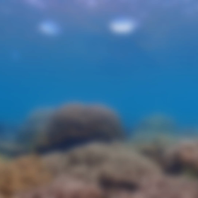 台風10号が来る前にー！！の画像