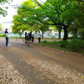 リレー選考会(男子)スタート付近⑨の画像