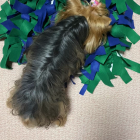 ノーズワークシートの画像