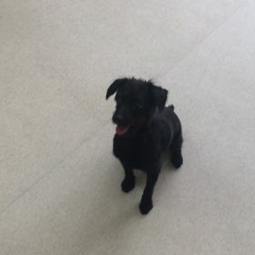 ♪プレイルーム動画♪の画像