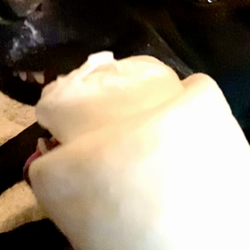 生まれて初めての物の画像