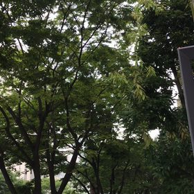 千穐楽に寄すの画像