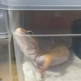 初めての共演の画像