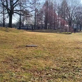 12/29 クロカンダッシュ⑥の画像