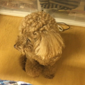 座んなさいって。の画像