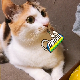 今日も元気でありがとうの画像