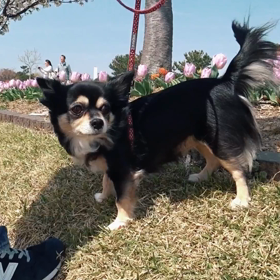 エンディング作ってみたの画像