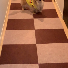 お布団大好きお嬢の画像