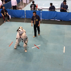 胴回し回転蹴りの画像