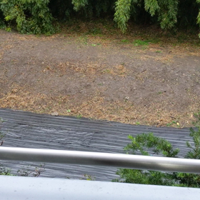 来たー(+_+)の画像