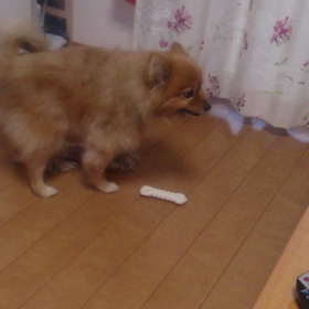 ケンカ(笑)の画像