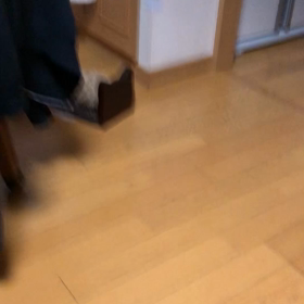 アプリが開かない。娘の悩みで私も悩む。猫歯磨き好きにゃ動画。の画像