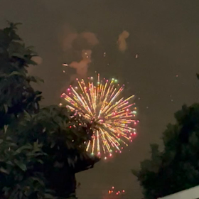 花火は綺麗だね〜！の画像