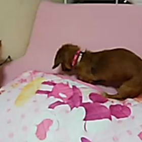 今日も仲良しの画像