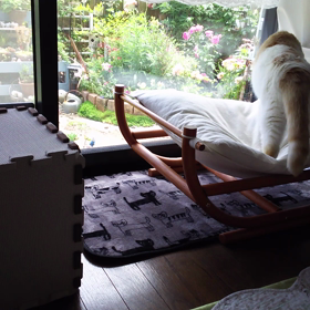 5/27 今日の動画～♪の画像