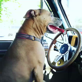 今日は❤海～❤の画像