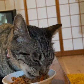 モグモグの画像