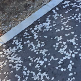 ３１７＄の巻の画像