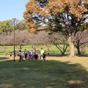 11/3 クロカンダッシュ①の画像